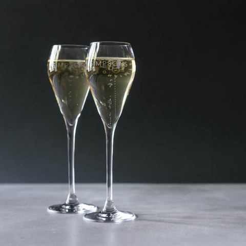 Flint Fields Blanc de Noirs 2019 - (Case of 6)