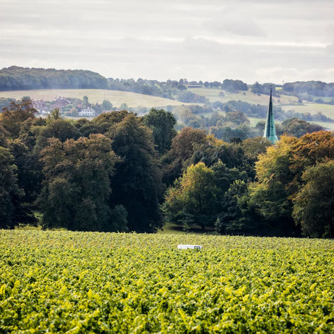 The Roman Road Chardonnay 2022